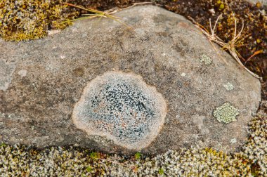 Doku ve desenler İzlanda güzel manzara