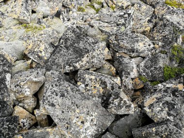 Doku ve desenler İzlanda güzel manzara