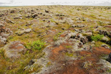 Doku ve desenler İzlanda güzel manzara