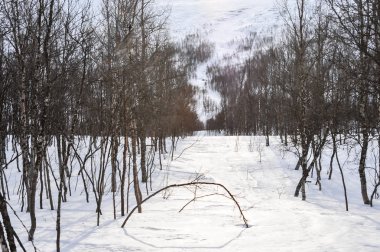 Dağ, kar ve gökyüzü ile kış manzarası
