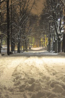 şehirde kış manzarası