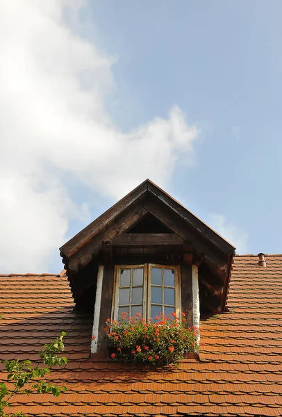 Evin güzelleştirir pencere dekore edilmiş