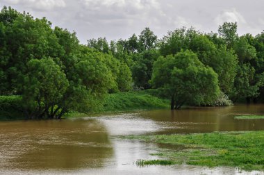 Doğal afet sular altında tarım arazileri ile şiddetli yağışlar nedeniyle