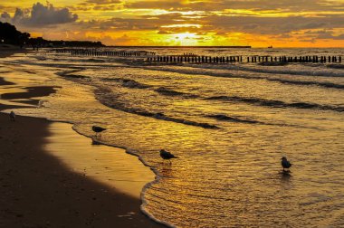 gün batımında güzel manzara