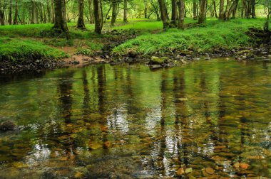 Su yolu doğal peyzaj