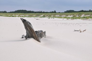 Baltık Denizi, Polonya kumsalda