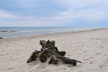 Baltık Denizi, Polonya peyzaj