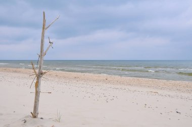 Baltık Denizi, Polonya peyzaj