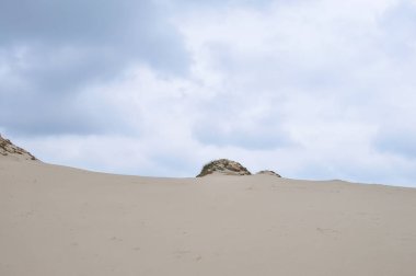 Baltık Denizi, Polonya kumsalda