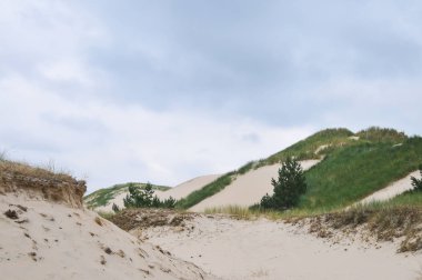 Baltık Denizi, Polonya kumsalda