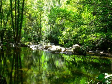 Su yolu doğal peyzaj