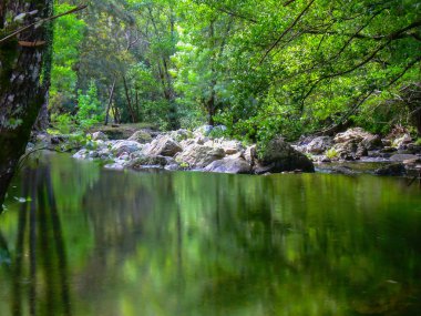 Su yolu doğal peyzaj