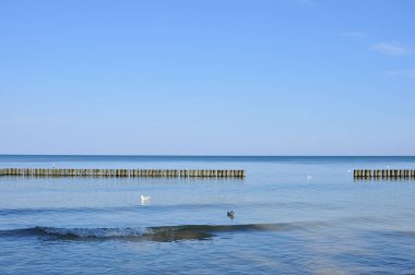 Baltık Denizi, Polonya peyzaj