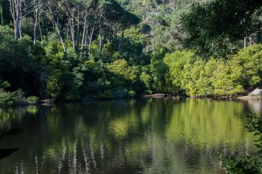 Sintra, Portekiz en geleneksel kentlerinden biri manzara