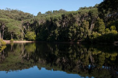 Sintra, Portekiz en geleneksel kentlerinden biri manzara