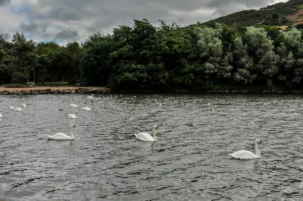Su yolu doğal peyzaj
