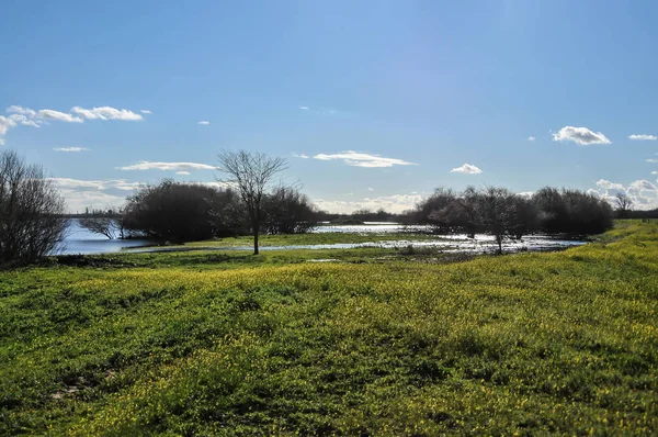 Natural disaster caused by heavy rains, with flooded farmland