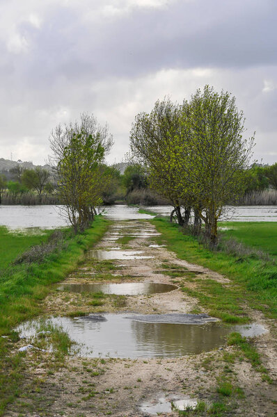 Natural disaster caused by heavy rains, with flooded farmland