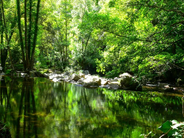 Su yolu doğal peyzaj