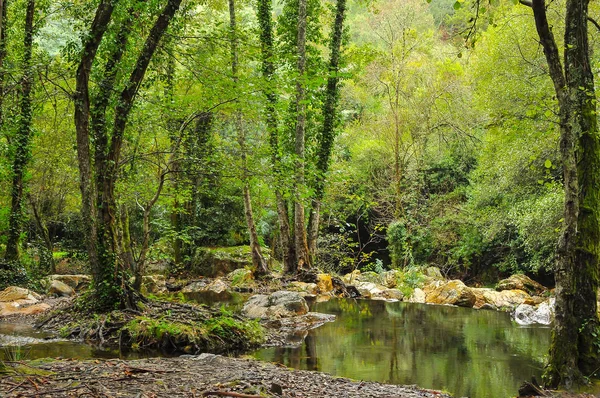 Su yolu doğal peyzaj