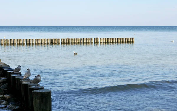 Baltık Denizi, Polonya peyzaj