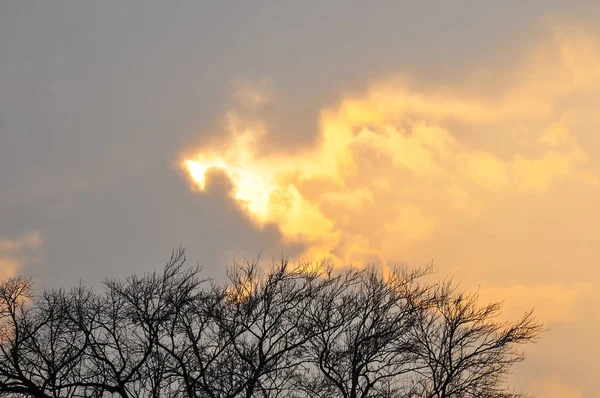 gün batımında güzel manzara