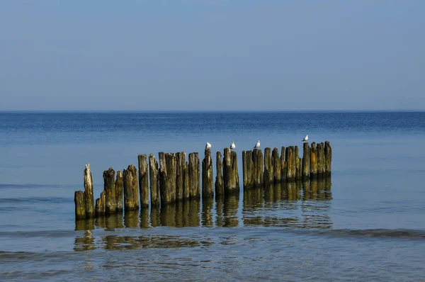 Baltık Denizi, Polonya peyzaj