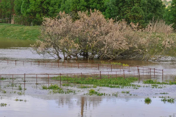 Naturkatastrophe Verursacht Durch Starke Regenfälle Mit Überfluteten Ackerland Stockbild