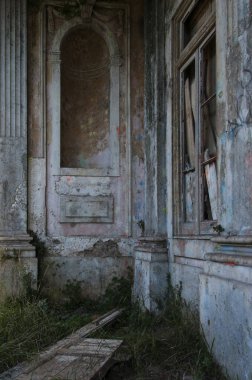 Terk edilmiş bir saray detay