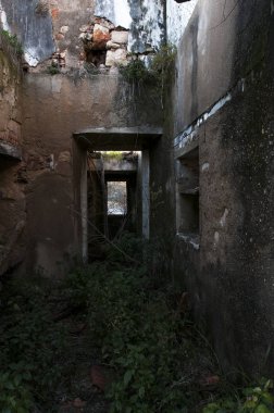 Terk edilmiş bir çiftlik detay