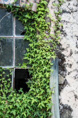 terkedilmiş bir fabrikada detay