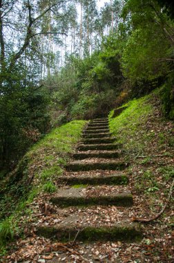 Quinta da Regaleira Sintra, Portekiz en geleneksel kentlerinden biri olarak