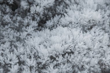 Buz bir dağının duvardaki bir detay