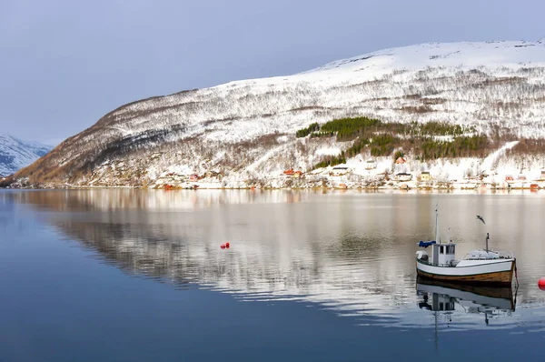 Dağ, kar ve gökyüzü ile kış manzarası