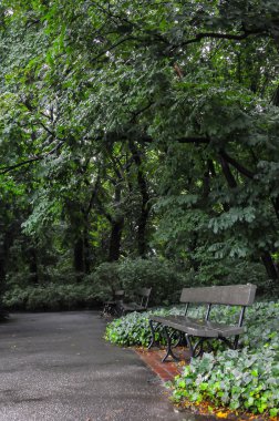 Coşkulu bir bahçe detayını