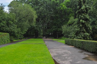 Coşkulu bir bahçe detayını