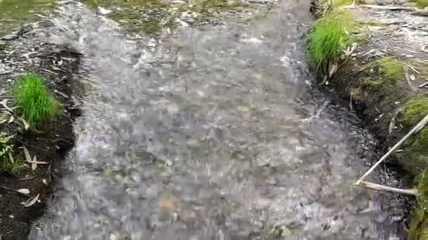 Spokojny Przejrzyste Wody — Wideo stockowe