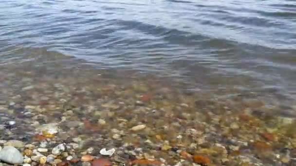 Řeka Přírodní Vodní Hřiště — Stock video