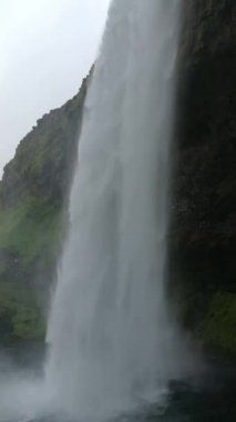 İzlanda'daki görkemli Seljalandsfoss şelale