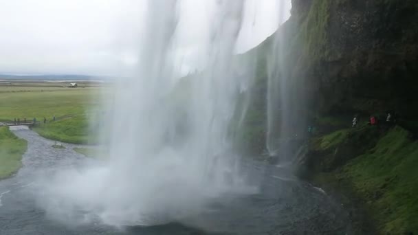 Zlanda Daki Görkemli Seljalandsfoss Şelale — Stok video