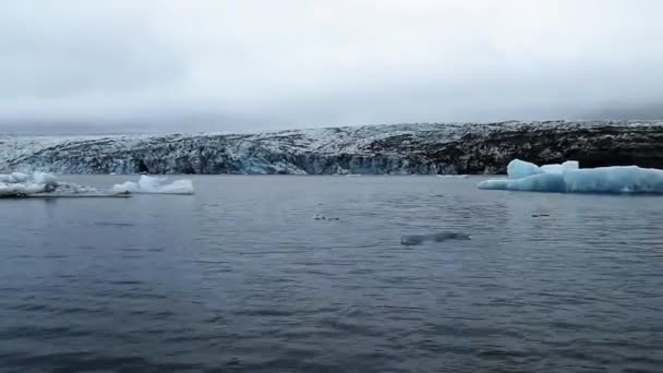 Jokulsarlon Lago Glaciale Islanda Trova Sud Del Ghiacciaio Vatnajkull Una — Video Stock