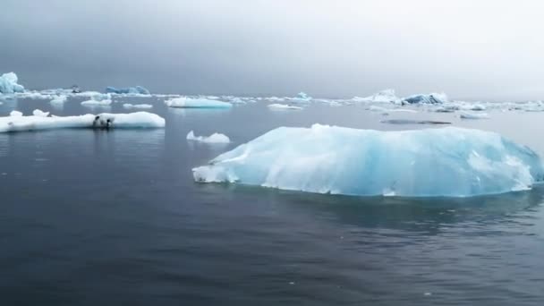 Γιόκουλσάρλον Είναι Μια Παγωμένη Λίμνη Στην Ισλανδία Που Βρίσκεται Νότια — Αρχείο Βίντεο