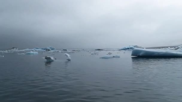 Jokulsarlon Lago Glaciale Islanda Trova Sud Del Ghiacciaio Vatnajkull Una — Video Stock
