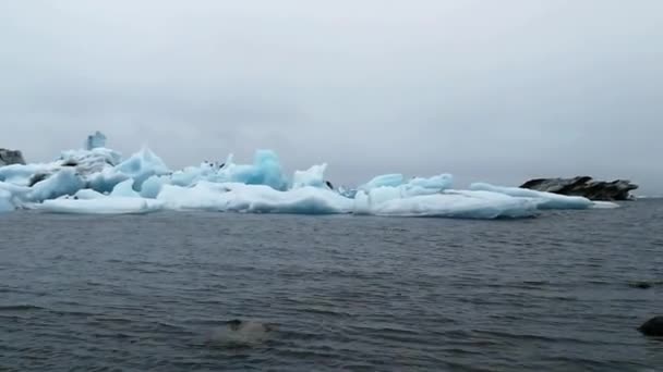 Jokulsarlon Ledovcové Jezero Islandu Nachází Jižně Ledovce Vatnajkull Tím Pláže — Stock video