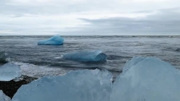 Jokulsarlon Een Gletsjermeer Ijsland Ligt Ten Zuiden Van Vatnajkull Gletsjer — Stockvideo