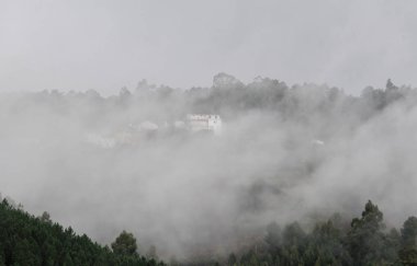 Ormandaki sonbahar resim