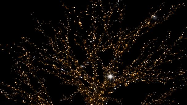 Magnífico Árbol Navidad Iluminado — Vídeos de Stock