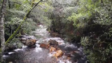Dağın içinde şeffaf su küçük şelaleler