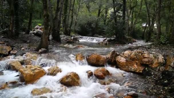 Малые Водопады Прозрачной Воды Внутри Горы — стоковое видео