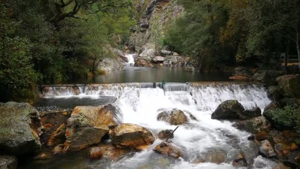 山の中の透明な水の小さな滝 — ストック動画